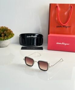 Salvatore_Ferragamo_3919_Silver_Brown_Dc