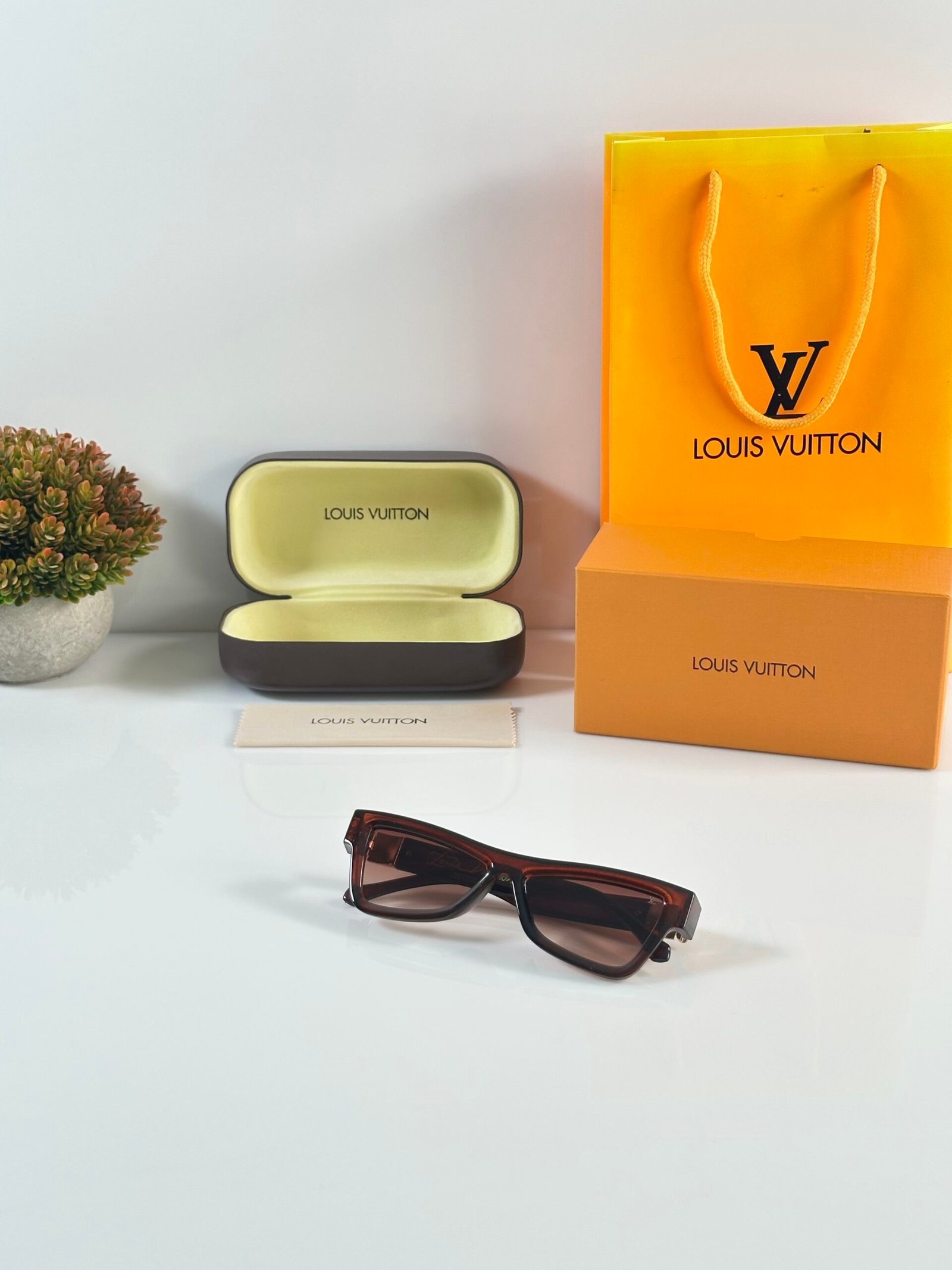 Louis_Vuitton_6008_Brown - Image 4