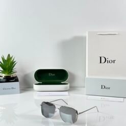 Dior_8287_Silver_Silver_Mercury