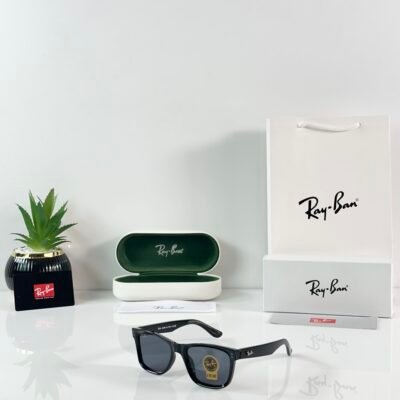 Rayban Reverse 0502 Shine Black